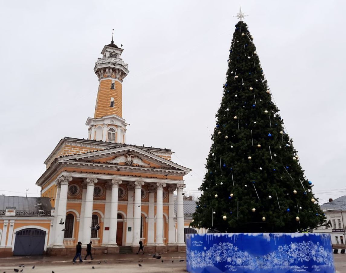 Ели в костроме. Елка на Сусанинской площади Кострома. Кострома елка 2022. Сусанинская площадь в Костроме. Кострома Сусанинская площадь новый год.